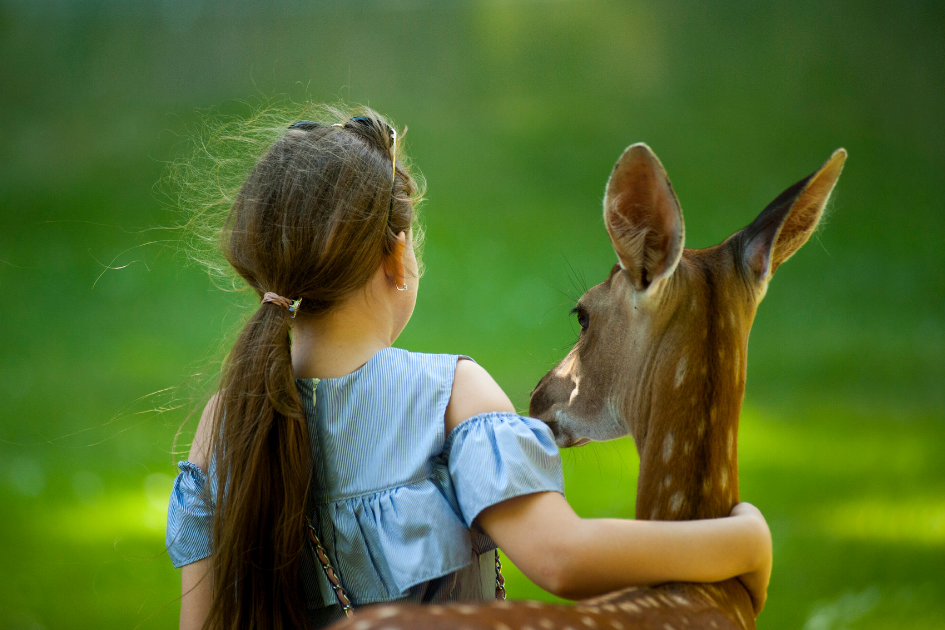 niña de espaldas acariciando un cervatillo